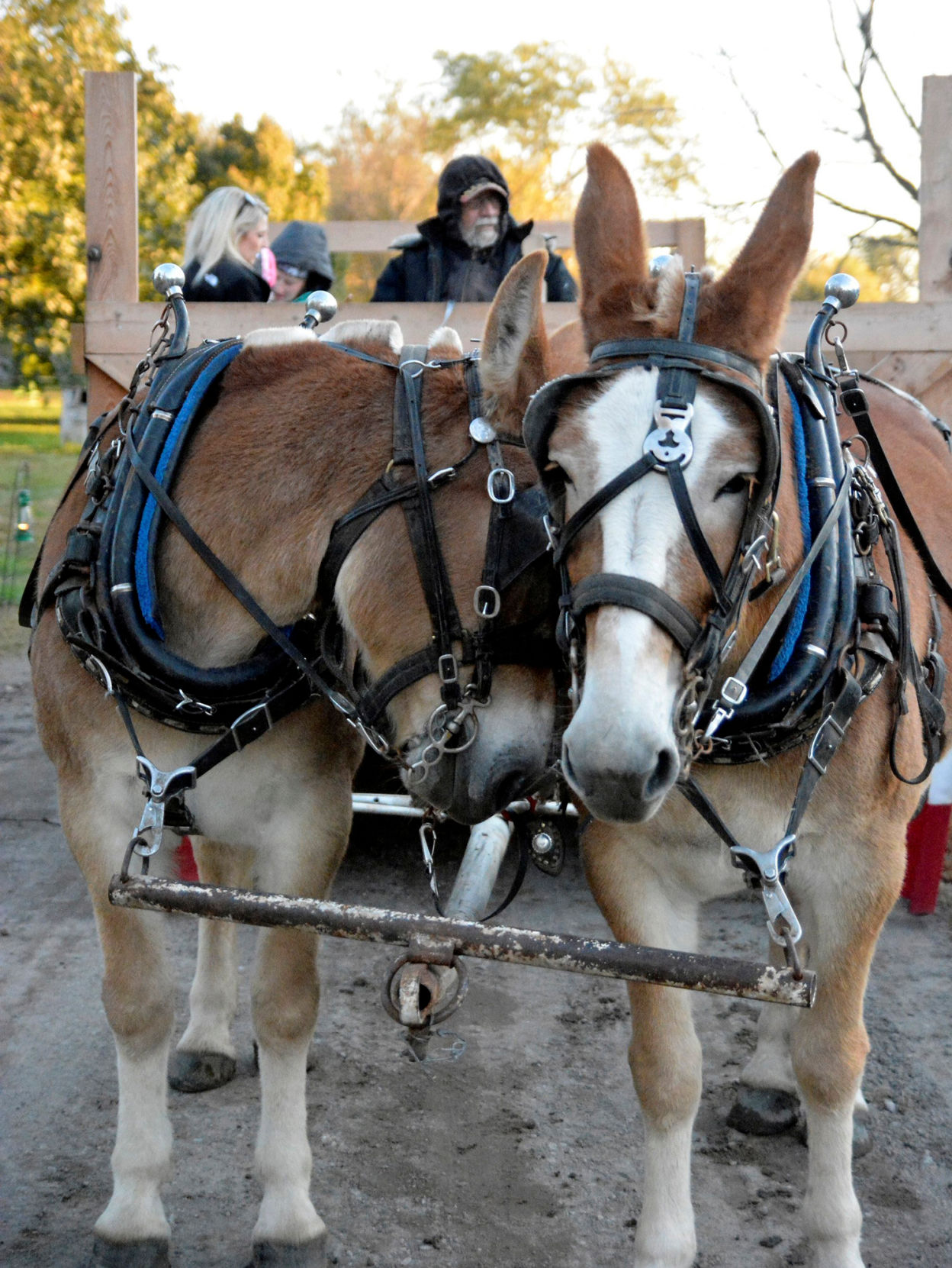 101219_Stuhr_009.JPG